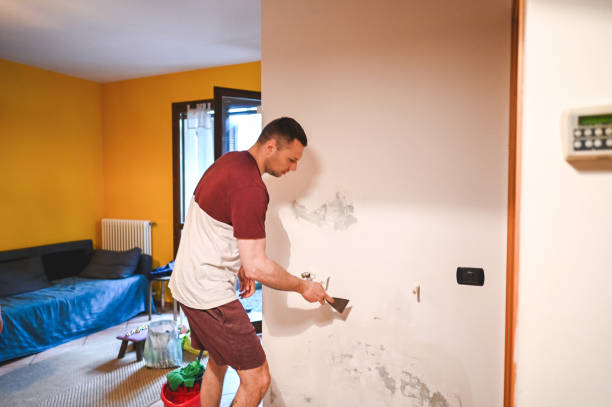 Best Crawl Space Mold Remediation in Granvle, IL